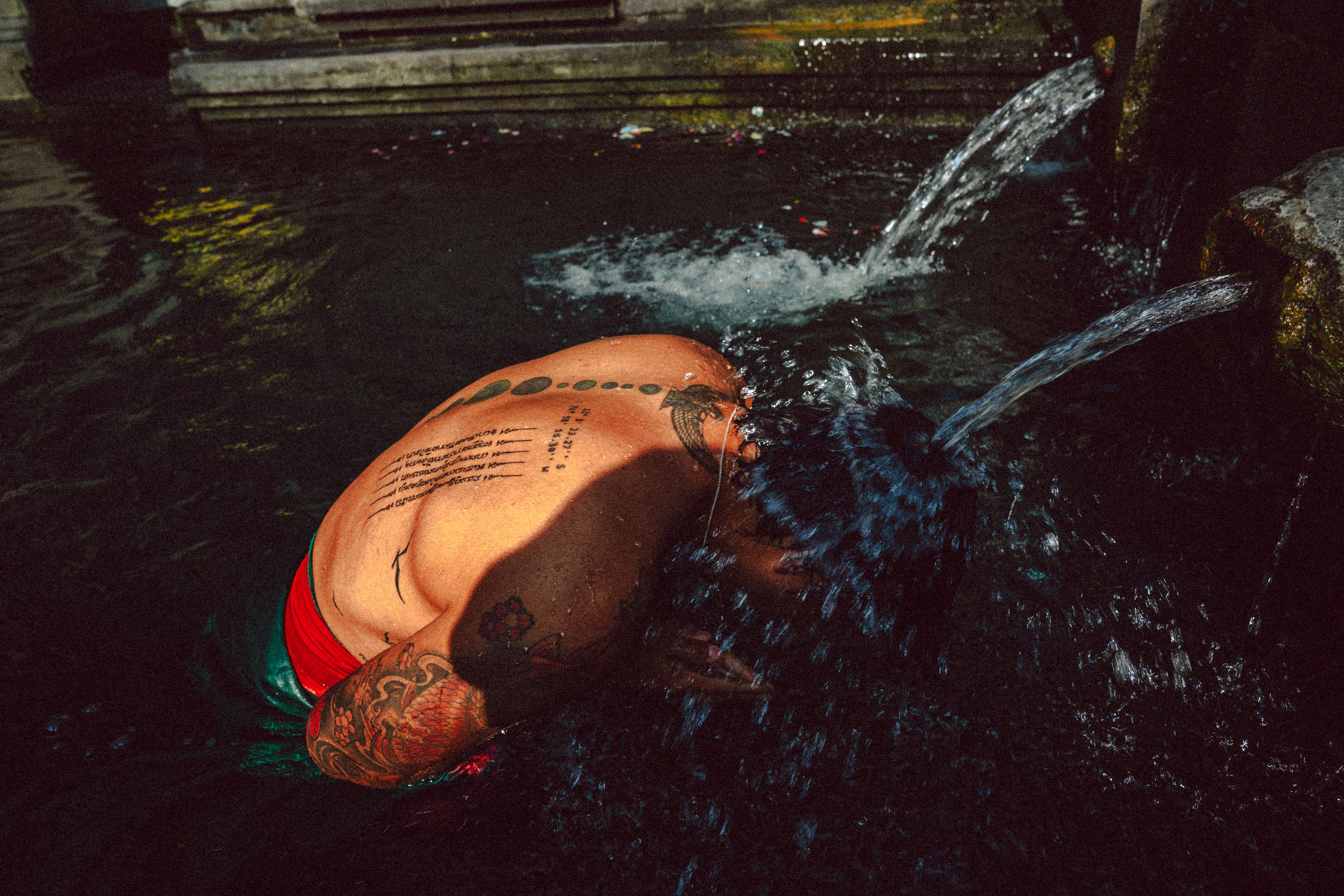 Pl. 25 · portrait · window